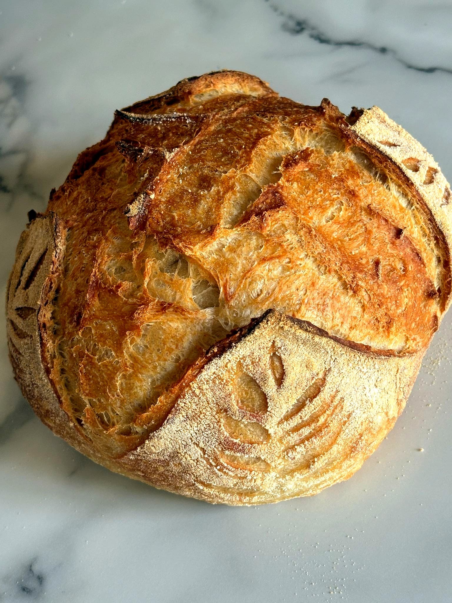Fresh sourdough loaves